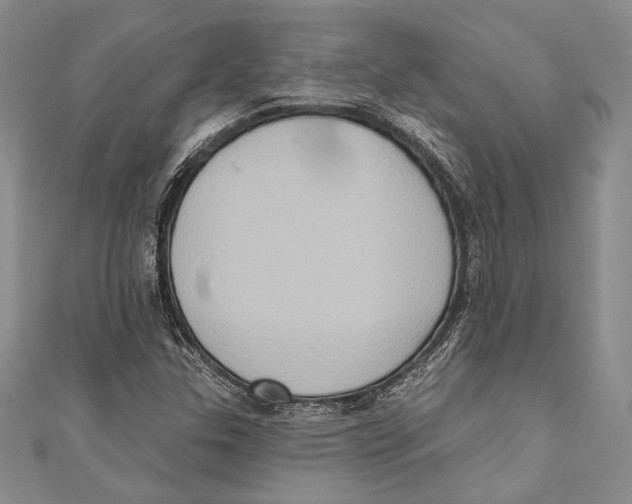 X0000110681307200907101119