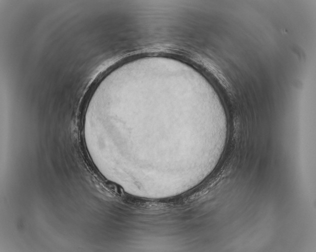 X0000110681308200907101119