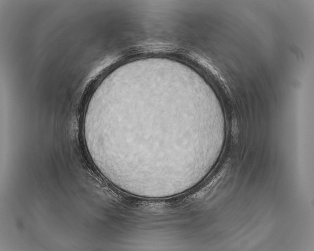 X0000110681309200907101119