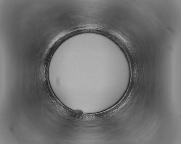 X0000110681310200907101119