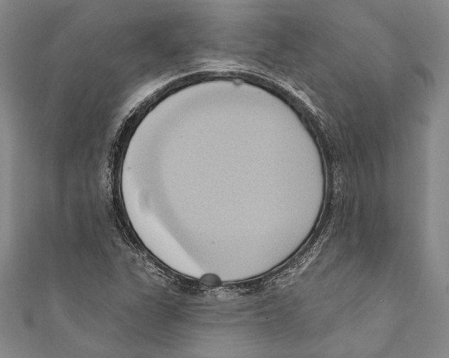 X0000110681311200907101119