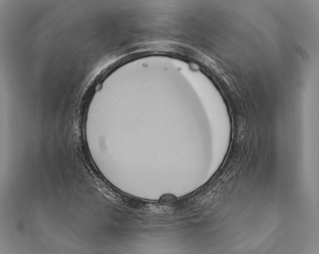 X0000110681312200907101119