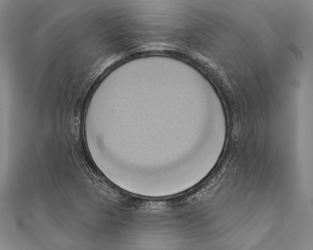 X0000110681313200907101119