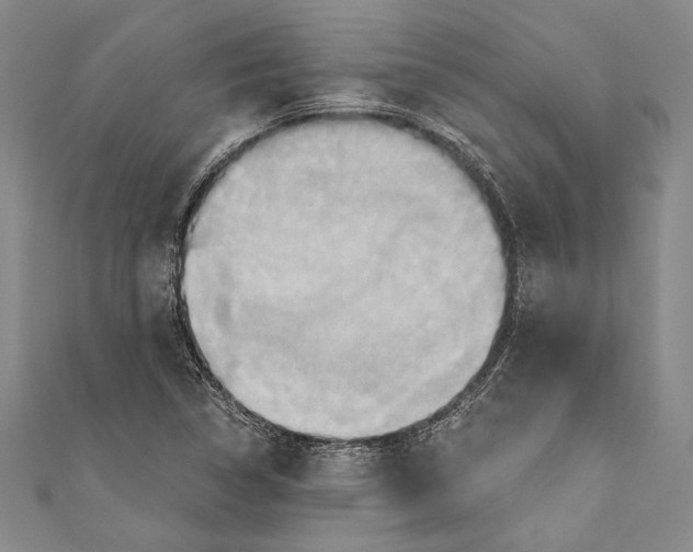 X0000110681314200907101119
