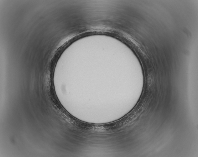 X0000110681315200907101119