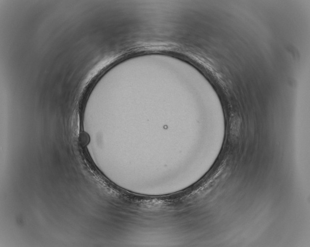 X0000110681317200907101119