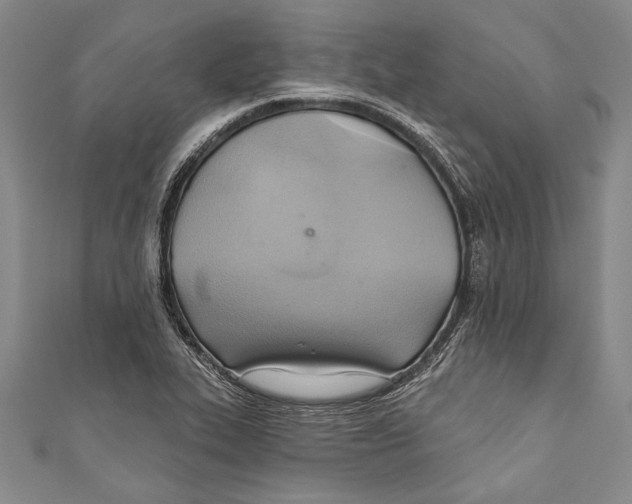 X0000110681319200907101119