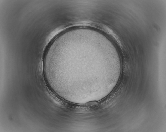 X0000110681320200907101119