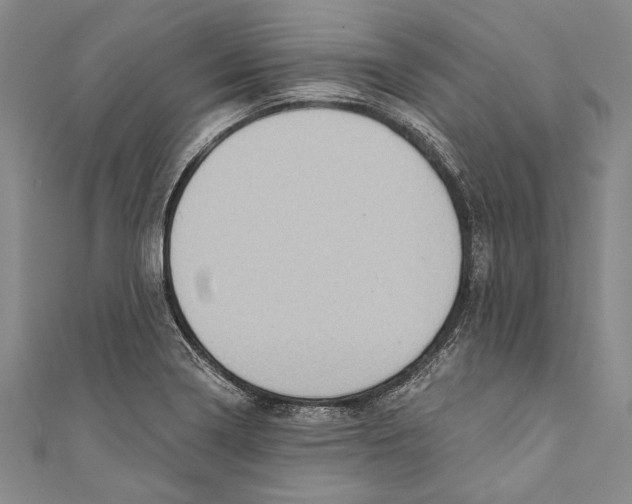 X0000110681322200907101119