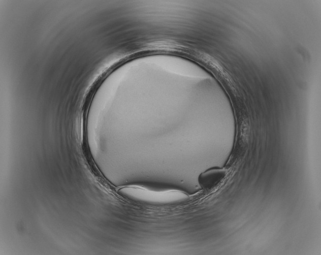 X0000110681323200907101119