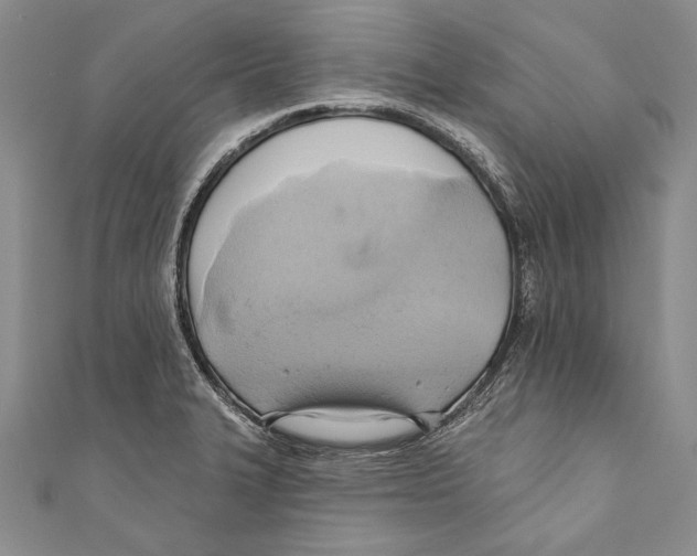 X0000110681327200907101119