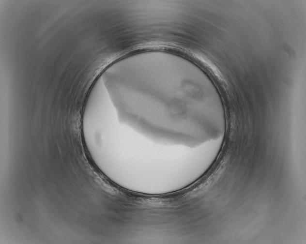 X0000110681329200907101119