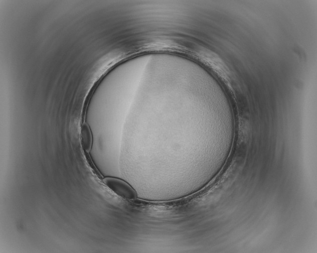 X0000110681330200907101119