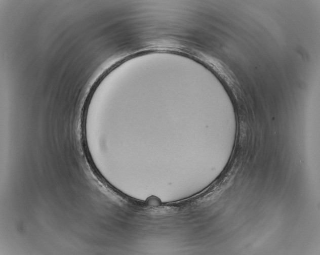 X0000110681331200907101119