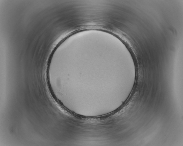 X0000110681333200907101119