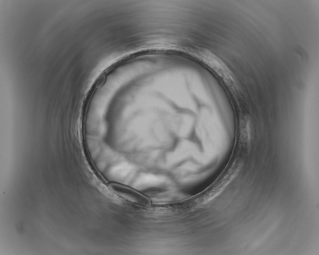 X0000110681334200907101119