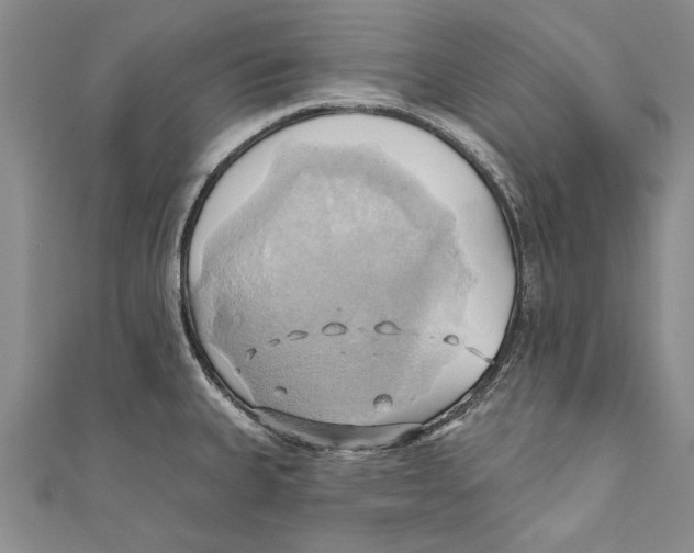 X0000110681335200907101119