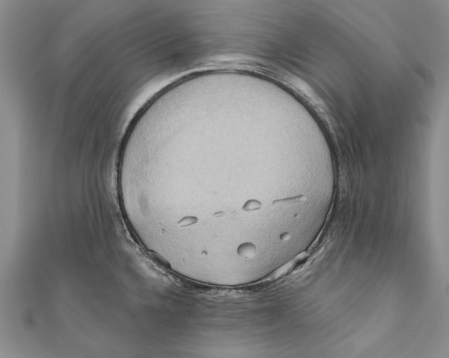 X0000110681336200907101119