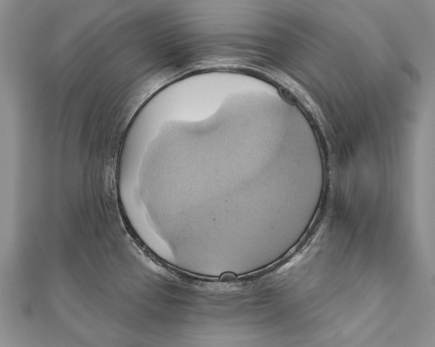 X0000110681337200907101119