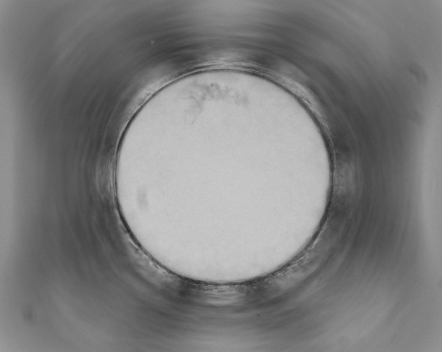 X0000110681338200907101119