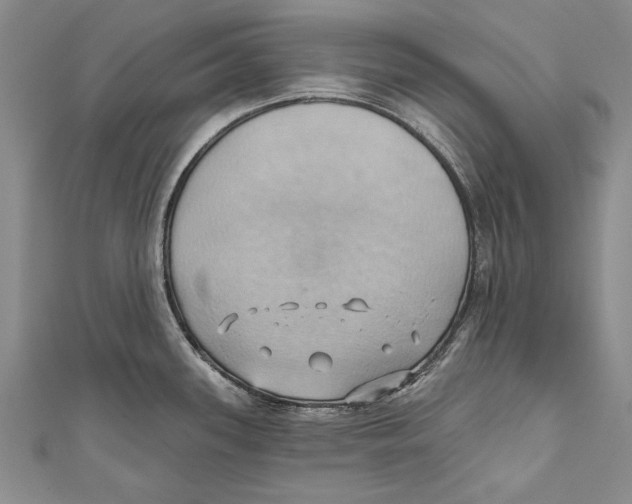 X0000110681339200907101119