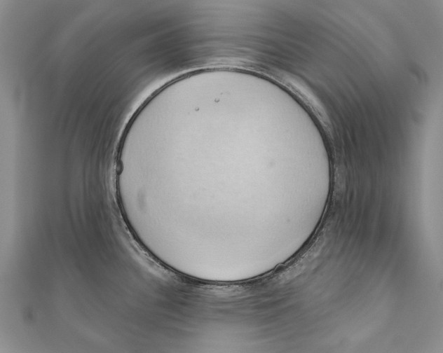 X0000110681340200907101119