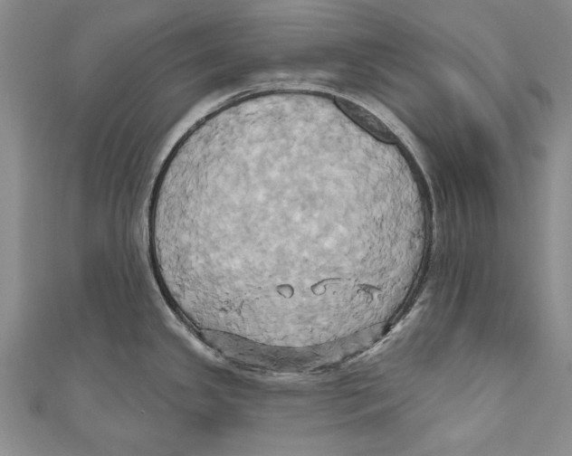 X0000110681341200907101119