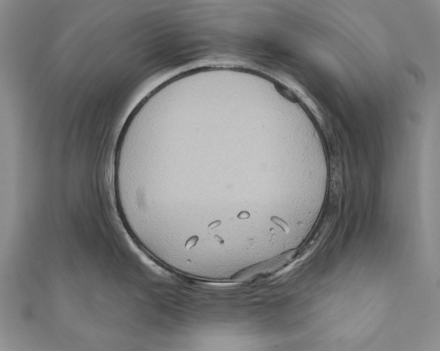 X0000110681343200907101119