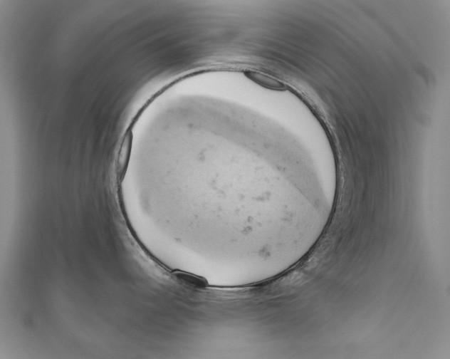 X0000110681344200907101120