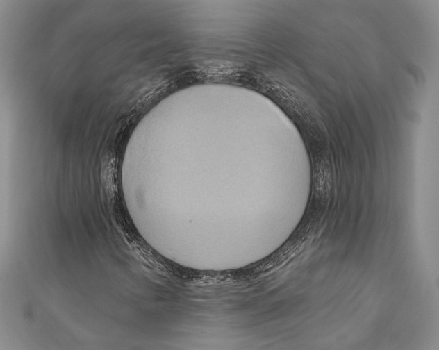 X0000110681346200907101119
