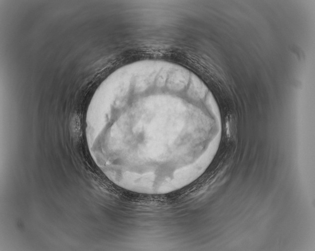 X0000110681347200907101119