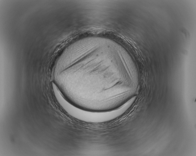 X0000110681349200907101119