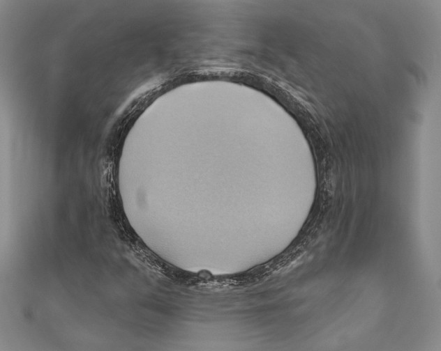 X0000110681351200907101119