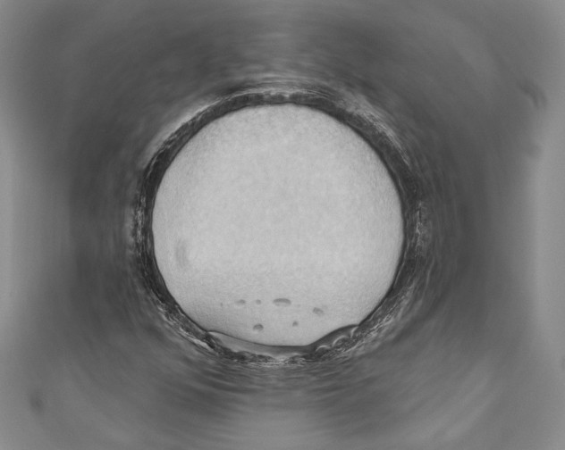 X0000110681352200907101119