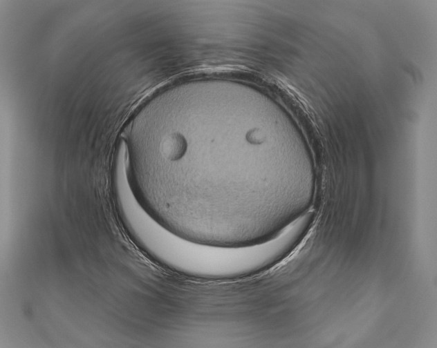 X0000110681353200907101119