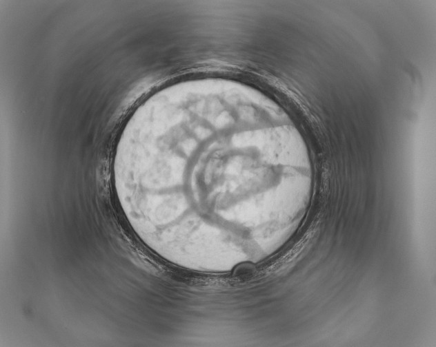 X0000110681355200907101119