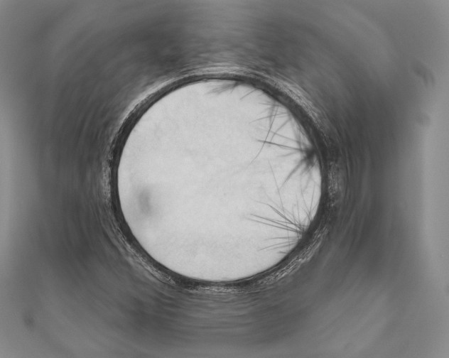 X0000110681356200907101119