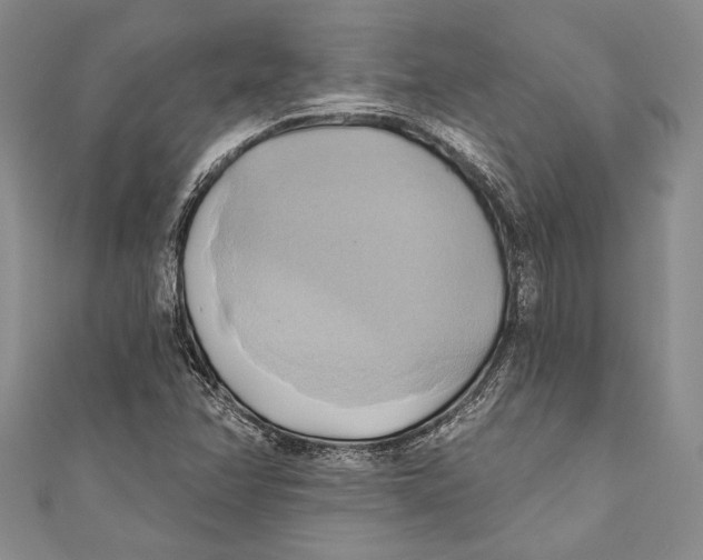 X0000110681358200907101119