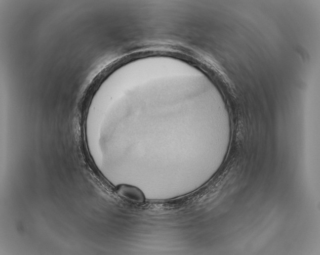 X0000110681360200907101119