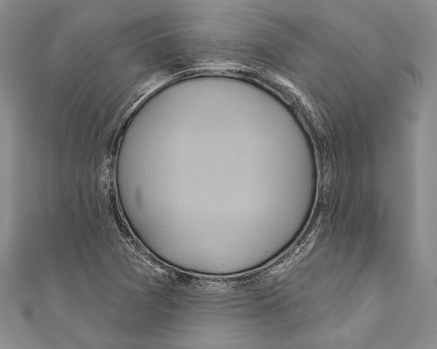 X0000110681361200907101119