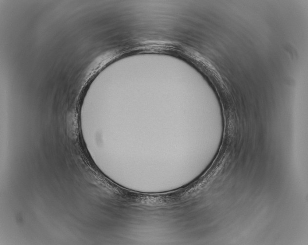 X0000110681362200907101119