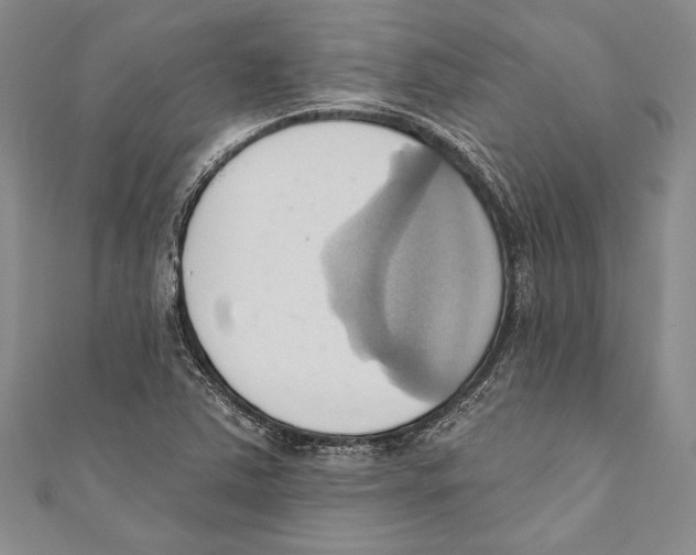 X0000110681363200907101119
