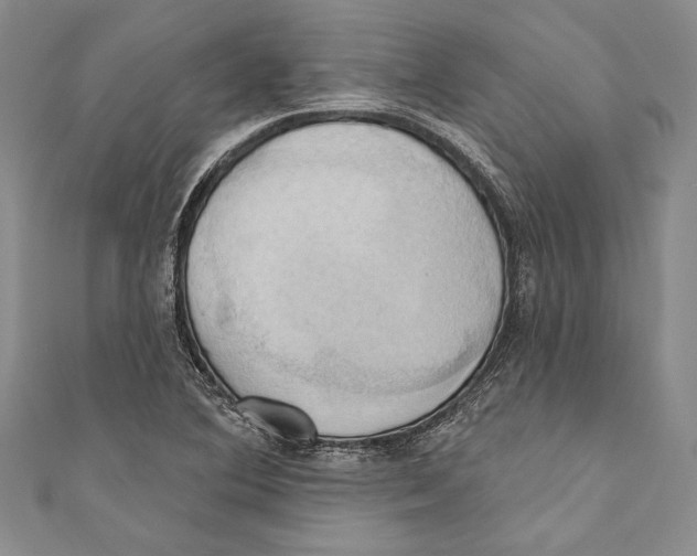 X0000110681364200907101119