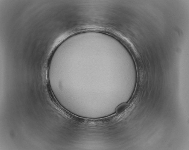 X0000110681365200907101119
