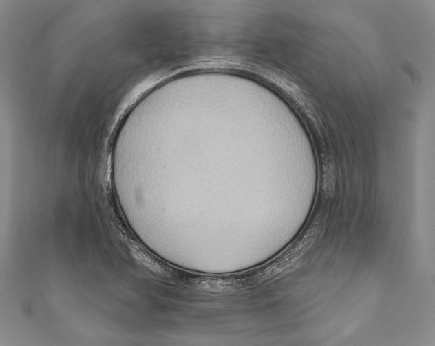X0000110681366200907101119
