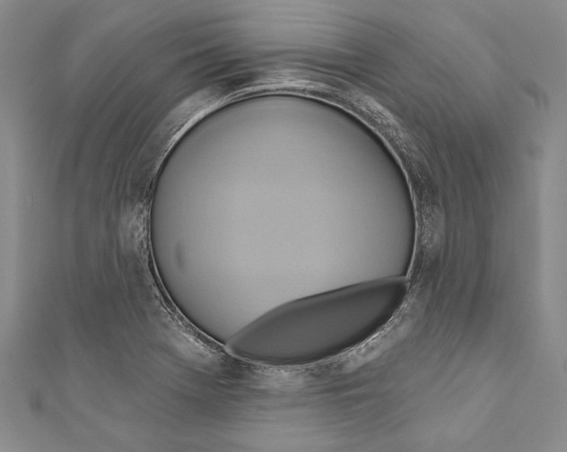 X0000110681369200907101119