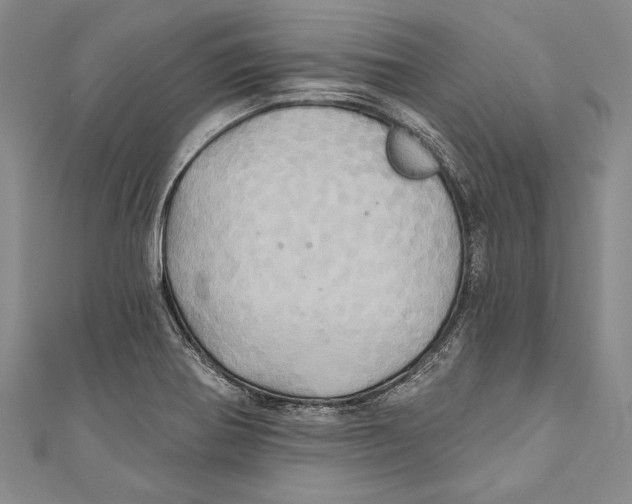 X0000110681370200907101119
