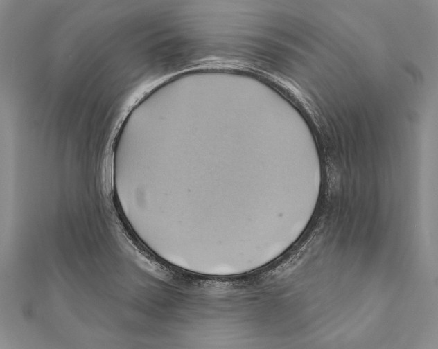 X0000110681371200907101119