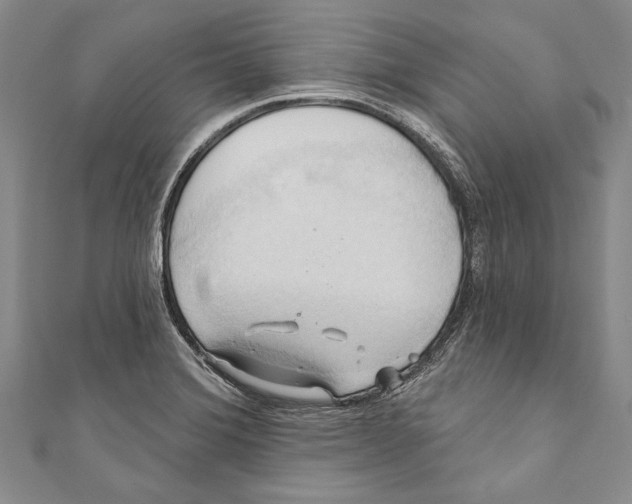 X0000110681372200907101119