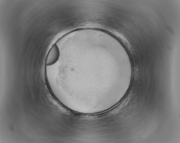 X0000110681374200907101119